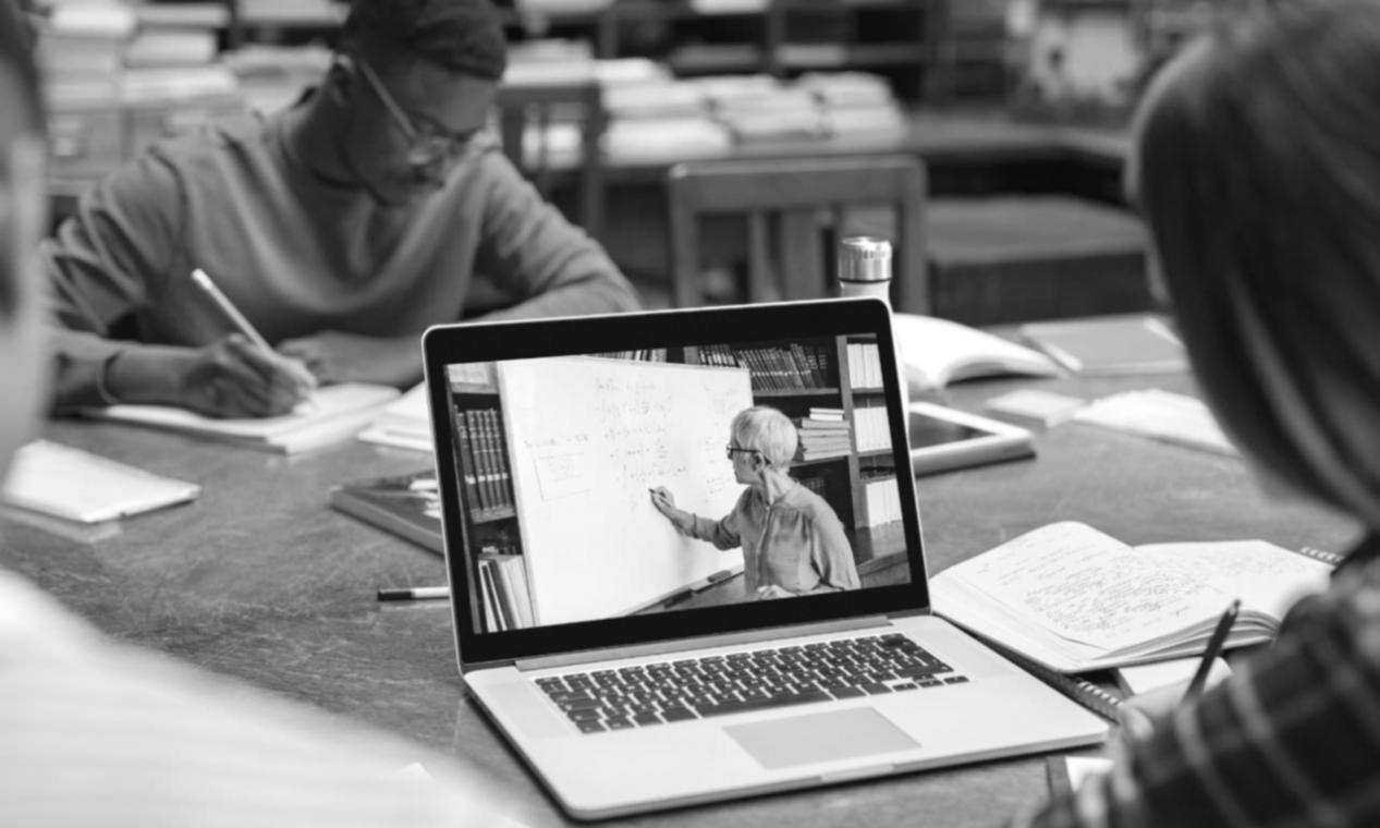 Local SEO training environment